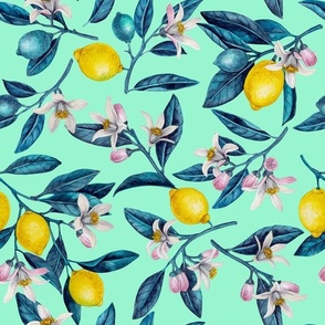 Lemon branches with blossoms and fruit, blue leaves on turquoise