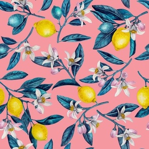 Lemon branches with blossoms and fruit, blue leaves on pink