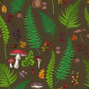 Woodland flora and fauna on brown