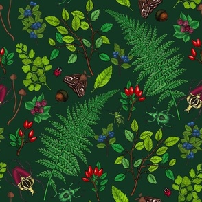 Forest berries, leaves and bugs on dark green