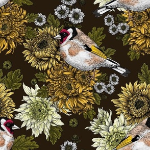 Goldfinch and yellow chrysanthemum flowers