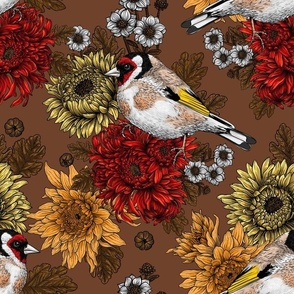 Goldfinch and chrysanthemum flowers 