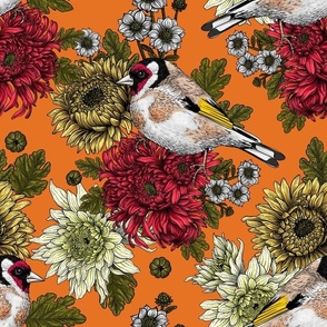 Goldfinch and chrysanthemum flowers on orange