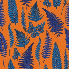 Ferns on  on carrot orange