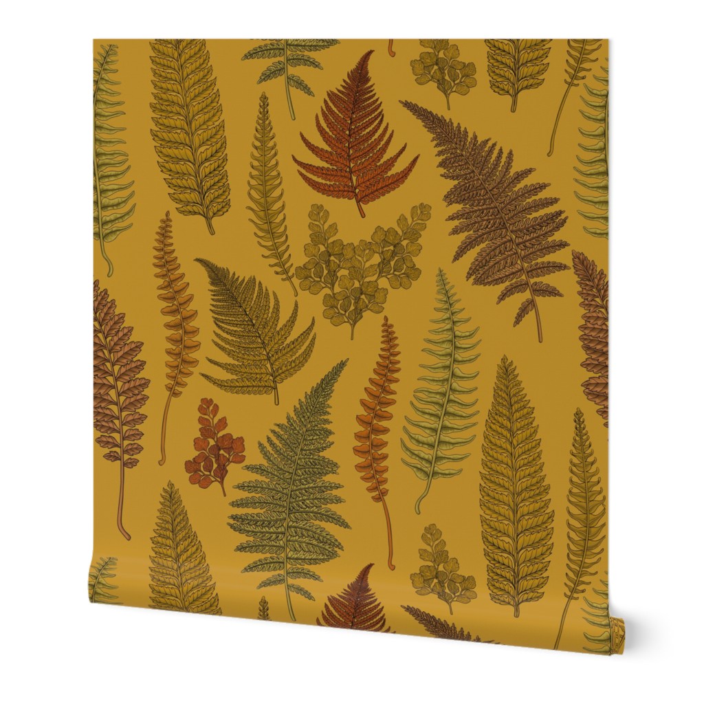 Ferns on  mustard