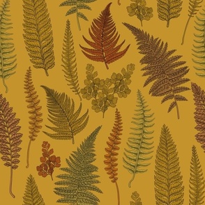 Ferns on  mustard
