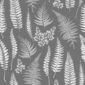 Ferns, monochrome 2
