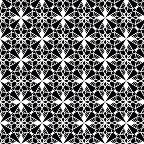 Kaleidoscopic Black and White