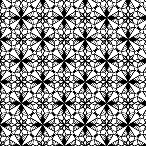 Kaleidoscopic Black and White