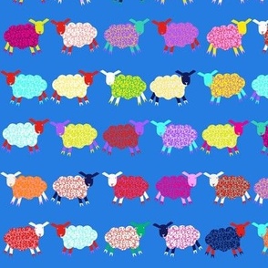 Bright sheep, blue sheep 
