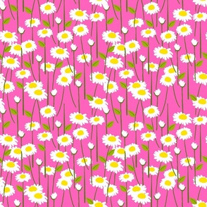 Modern Summer Daisy Flowers On Hot Pink