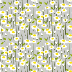 Modern Summer Daisy Flowers On Grey