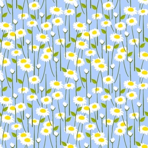 Retro Modern Summer Daisy Flowers On Baby Blue Repeat Pattern