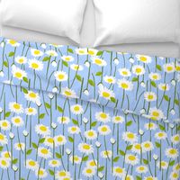 Retro Modern Summer Daisy Flowers On Baby Blue Repeat Pattern