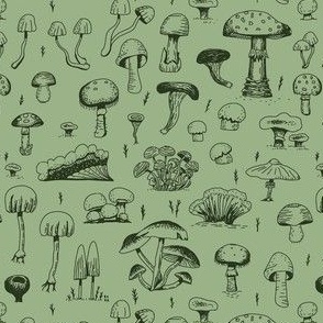 botanical mushrooms