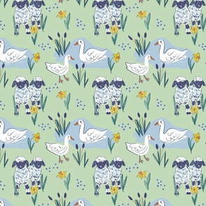 Lambs and Ducks at the farm | on Mint Green 