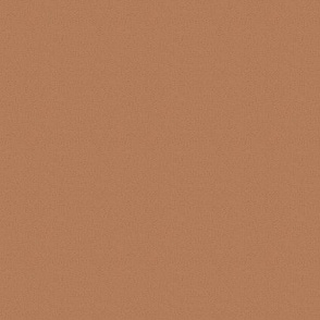 terracotta_copper-orange_speckled_solid