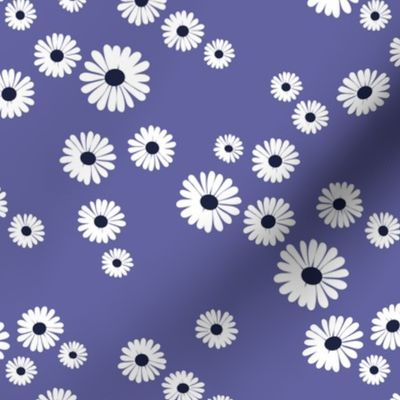 Daisy blossom white petal boho flowers minimalist garden autumn winter periwinkle blue