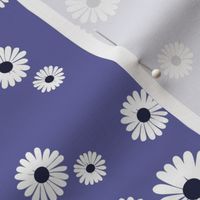 Daisy blossom white petal boho flowers minimalist garden autumn winter periwinkle blue