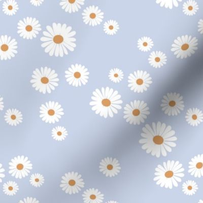 Daisy blossom white petal boho flowers minimalist garden autumn winter baby blue