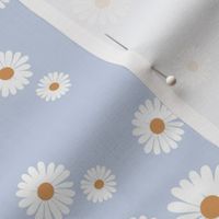 Daisy blossom white petal boho flowers minimalist garden autumn winter baby blue