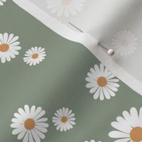 Daisy blossom white petal boho flowers minimalist garden autumn winter olive green