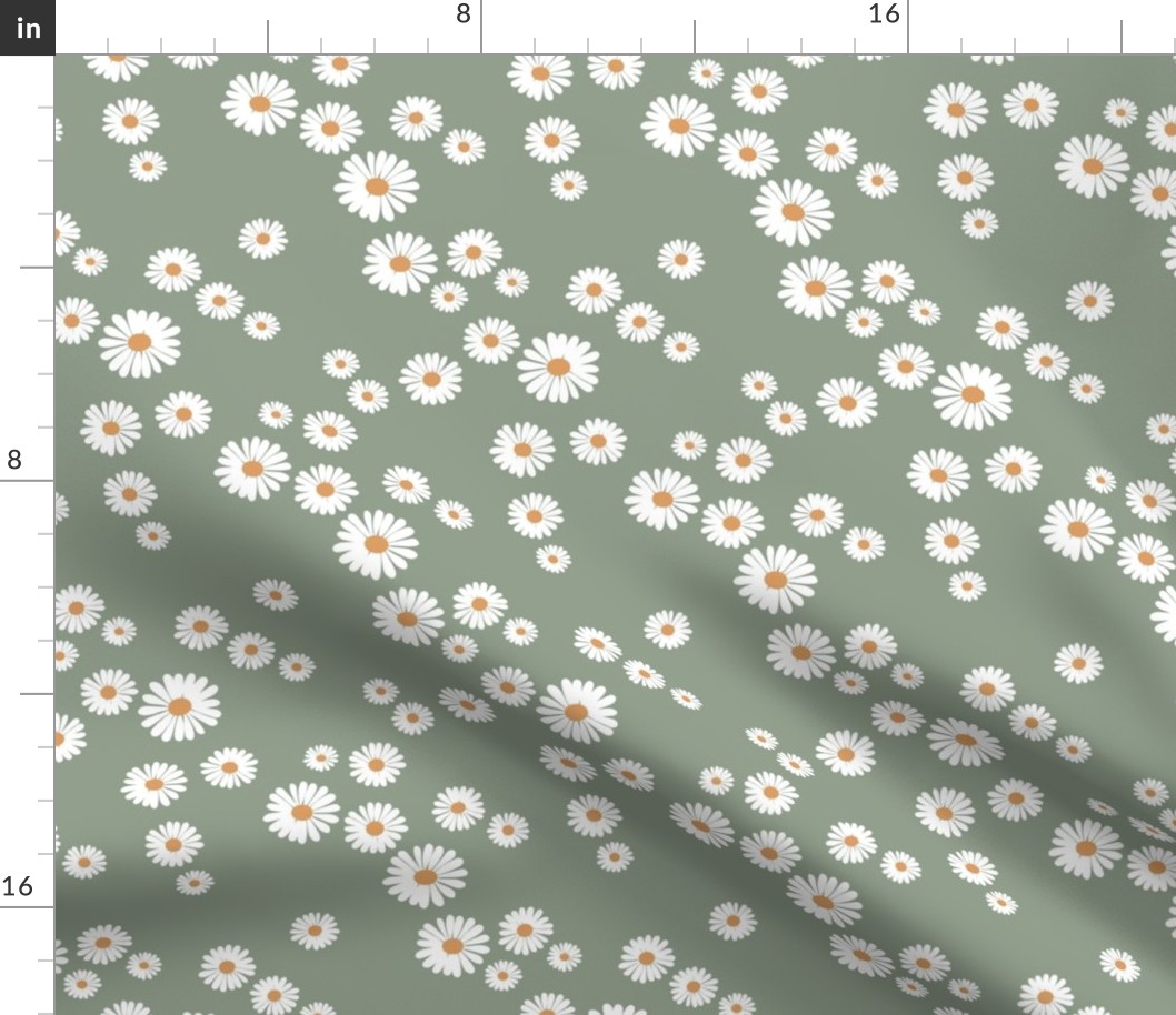 Daisy blossom white petal boho flowers minimalist garden autumn winter olive green