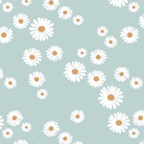 Daisy blossom white petal boho flowers minimalist garden autumn winter warm sky blue