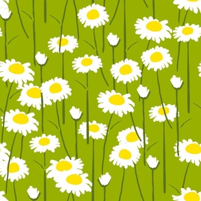 Retro Modern Summer Daisy Flowers On Green Repeat Pattern