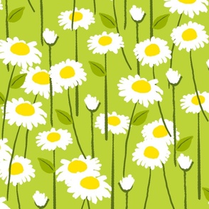 Retro Modern Summer Daisy Flowers On Light Green Repeat Pattern