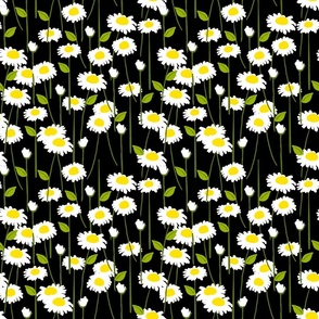 Retro Modern Summer Daisy Flowers On Black Repeat Pattern