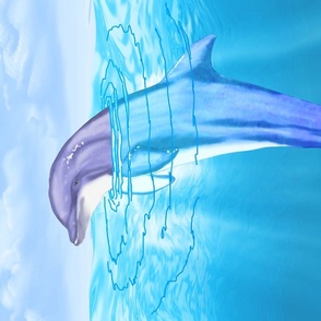 Bottlenose Dolphin Ocean Conservation Sea Life