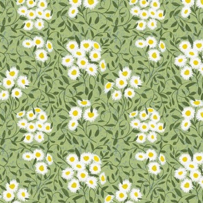 Floral Daisies White Yellow in Green Meadow
