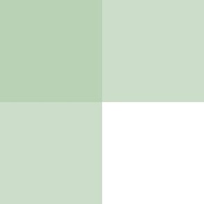 medium_plain_gingham_GREEN