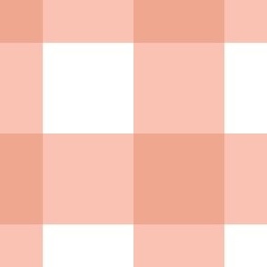 small_gingham_pink