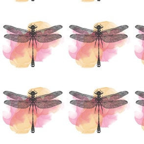 Abstract Dragonfly with Yellow and Pink watercolor