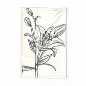 Vintage Lily Sketch - Tea Towel / Wall Hanging