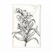 Vintage Wallflower Sketch - Tea Towel / Wall Hanging