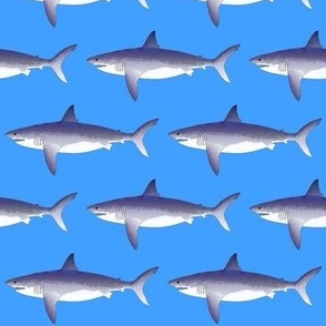 Megalodon Shark v22 4in on sea blue
