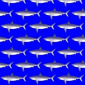 Megalodon Shark v22  on deep blue 2in