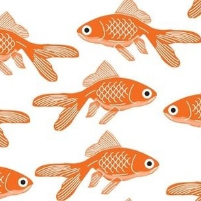 goldfish on white