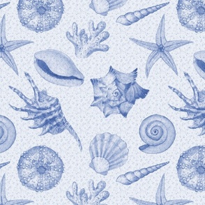 Watercolor blue seashells monochrome background