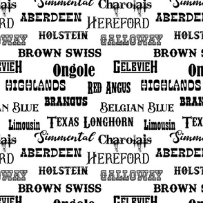 cow breeds in black text on white bg like Holstein, Aberdeen, Brown Swiss, Highlands, and Brangus.