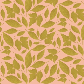 Mustard Leaves with Pink Background