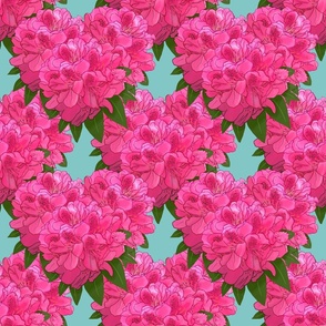 Pink Rhododendron Flower Heart Pattern