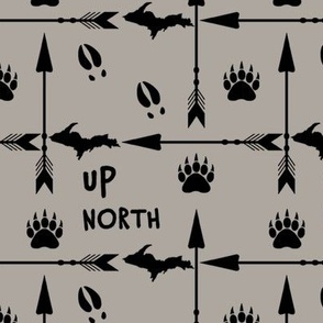 UP North Arrows