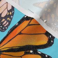 medium-Scattered Monarch Migration-blue background