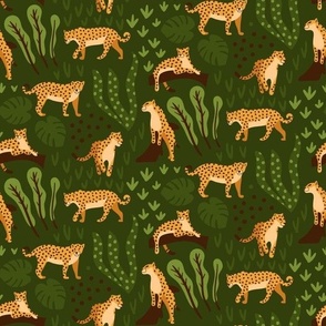 Leopard gepard jungle animal on green background