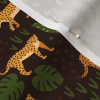 Leopard gepard jungle animal on dark brown background