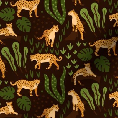 Leopard gepard jungle animal on dark brown background